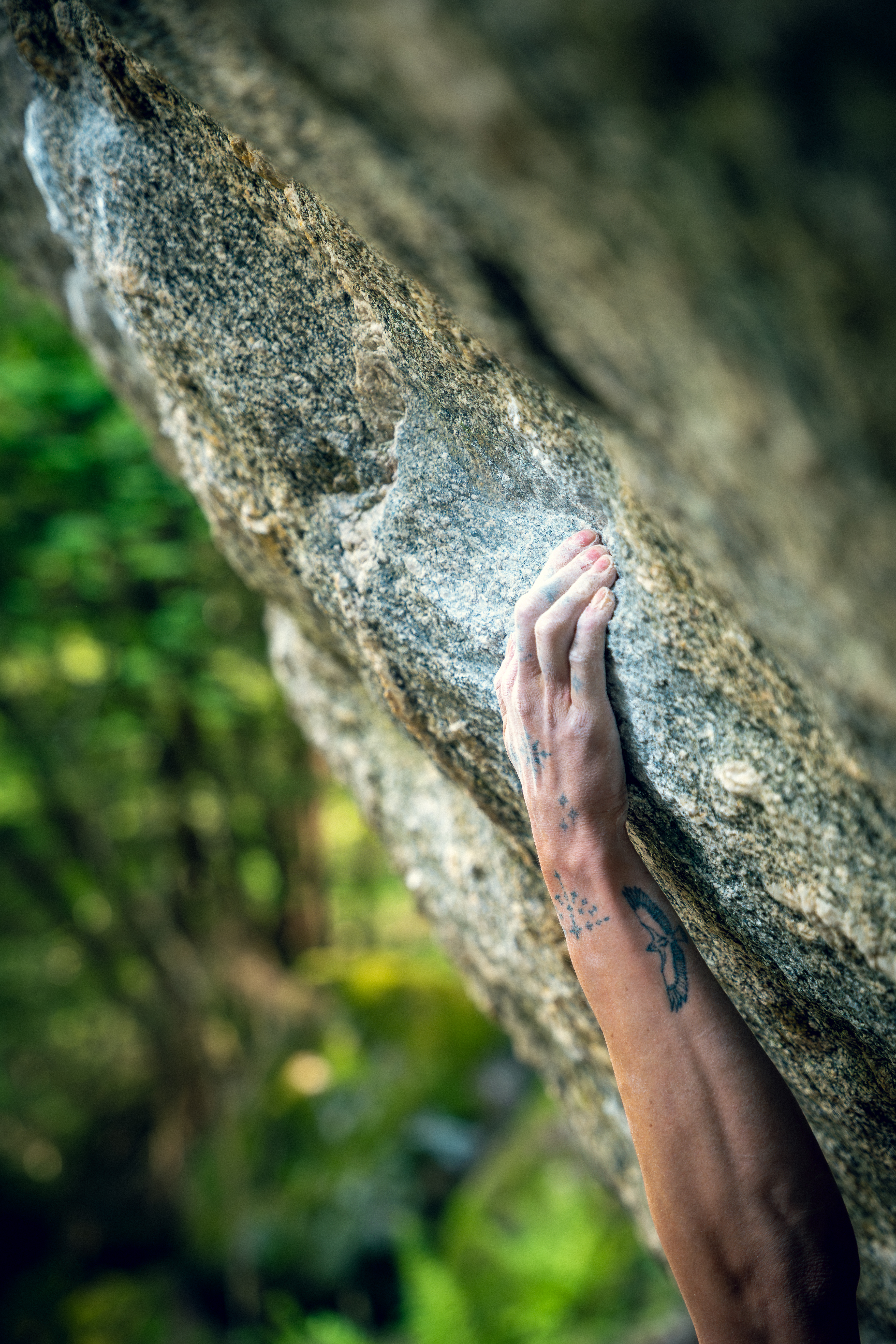 Warm-up tools and climbing holds